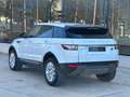 Land Rover Range Rover Evoque 2.2L eD4 Pure 4x2 Blanco - thumbnail 5
