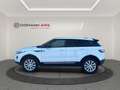 Land Rover Range Rover Evoque 2.2L eD4 Pure 4x2 Blanco - thumbnail 14