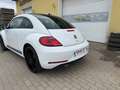 Volkswagen Beetle 1.2 Benzin Sky TSI Weiß - thumbnail 10