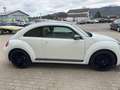 Volkswagen Beetle 1.2 Benzin Sky TSI Weiß - thumbnail 6