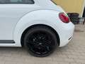 Volkswagen Beetle 1.2 Benzin Sky TSI Weiß - thumbnail 12