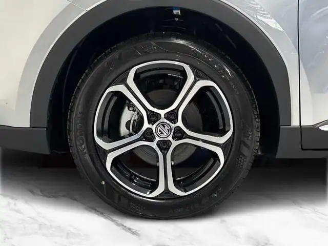 MG ZS view 8