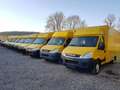 Iveco Daily Daily Koffer Luftfeder Automatik 1.Hd. Integral Jaune - thumbnail 14