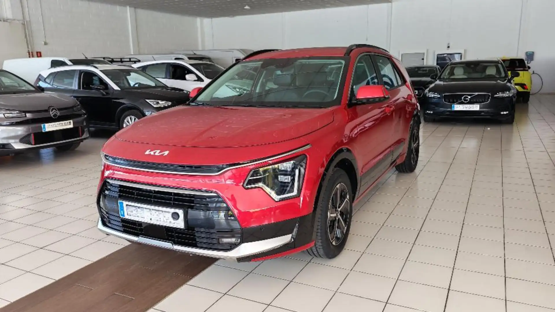 Kia Niro 1.6 HEV Drive 129 Rojo - 2