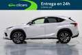 Lexus NX 300h F Sport Kick Power Panorámico 4WD Weiß - thumbnail 8