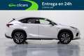 Lexus NX 300h F Sport Kick Power Panorámico 4WD Weiß - thumbnail 7
