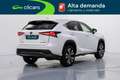 Lexus NX 300h F Sport Kick Power Panorámico 4WD Weiß - thumbnail 5