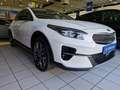 Kia XCeed Platinum Edition/PANO/LEDER/GARANTIE/NAVI Blanc - thumbnail 4