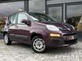 Fiat Panda 0.9 TwinAir Lounge Automaat Pdc 1e eigenaar Lilla - thumbnail 6