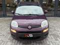 Fiat Panda 0.9 TwinAir Lounge Automaat Pdc 1e eigenaar Lilla - thumbnail 3