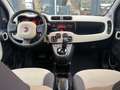 Fiat Panda 0.9 TwinAir Lounge Automaat Pdc 1e eigenaar Lilla - thumbnail 8