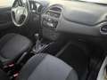 Fiat Punto FIAT PUNTO EVO 1,2 BENZ LOUNGE- KM 53000-2016 Blanc - thumbnail 19