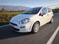 Fiat Punto FIAT PUNTO EVO 1,2 BENZ LOUNGE- KM 53000-2016 Blanc - thumbnail 9