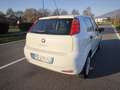 Fiat Punto FIAT PUNTO EVO 1,2 BENZ LOUNGE- KM 53000-2016 Blanc - thumbnail 5