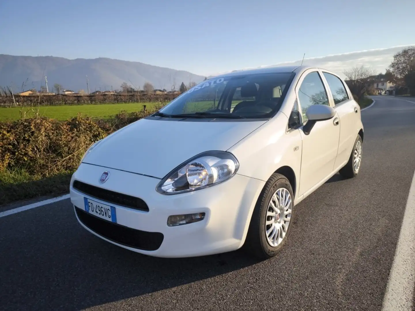 Fiat Punto FIAT PUNTO EVO 1,2 BENZ LOUNGE- KM 53000-2016 Blanc - 1