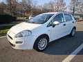Fiat Punto FIAT PUNTO EVO 1,2 BENZ LOUNGE- KM 53000-2016 Blanc - thumbnail 11