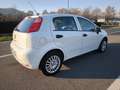 Fiat Punto FIAT PUNTO EVO 1,2 BENZ LOUNGE- KM 53000-2016 Blanc - thumbnail 8