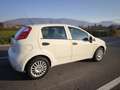 Fiat Punto FIAT PUNTO EVO 1,2 BENZ LOUNGE- KM 53000-2016 Blanc - thumbnail 15