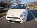 Fiat Punto FIAT PUNTO EVO 1,2 BENZ LOUNGE- KM 53000-2016 Blanc - thumbnail 13