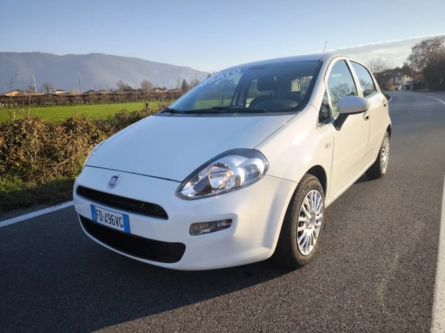 Fiat Punto FIAT PUNTO EVO 1,2 BENZ LOUNGE- KM 53000-2016 Blanc - 2