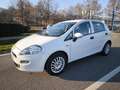 Fiat Punto FIAT PUNTO EVO 1,2 BENZ LOUNGE- KM 53000-2016 Blanc - thumbnail 10