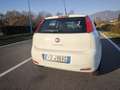Fiat Punto FIAT PUNTO EVO 1,2 BENZ LOUNGE- KM 53000-2016 Blanc - thumbnail 6