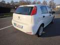 Fiat Punto FIAT PUNTO EVO 1,2 BENZ LOUNGE- KM 53000-2016 Blanc - thumbnail 4