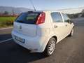 Fiat Punto FIAT PUNTO EVO 1,2 BENZ LOUNGE- KM 53000-2016 Blanc - thumbnail 18