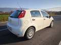 Fiat Punto FIAT PUNTO EVO 1,2 BENZ LOUNGE- KM 53000-2016 Blanc - thumbnail 17