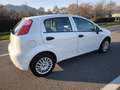 Fiat Punto FIAT PUNTO EVO 1,2 BENZ LOUNGE- KM 53000-2016 Blanc - thumbnail 7