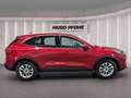 Ford Kuga 1.5 EcoBoost Titanium Roşu - thumbnail 6