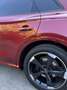 Audi Q5 50 TDI Black line quattro tiptronic 210kW - thumbnail 7