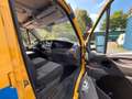 Iveco Daily autotransporter Geel - thumbnail 27