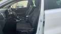 Kia Sportage 1.6 GDI X-TECH18 2WD 132 5P Blanco - thumbnail 11