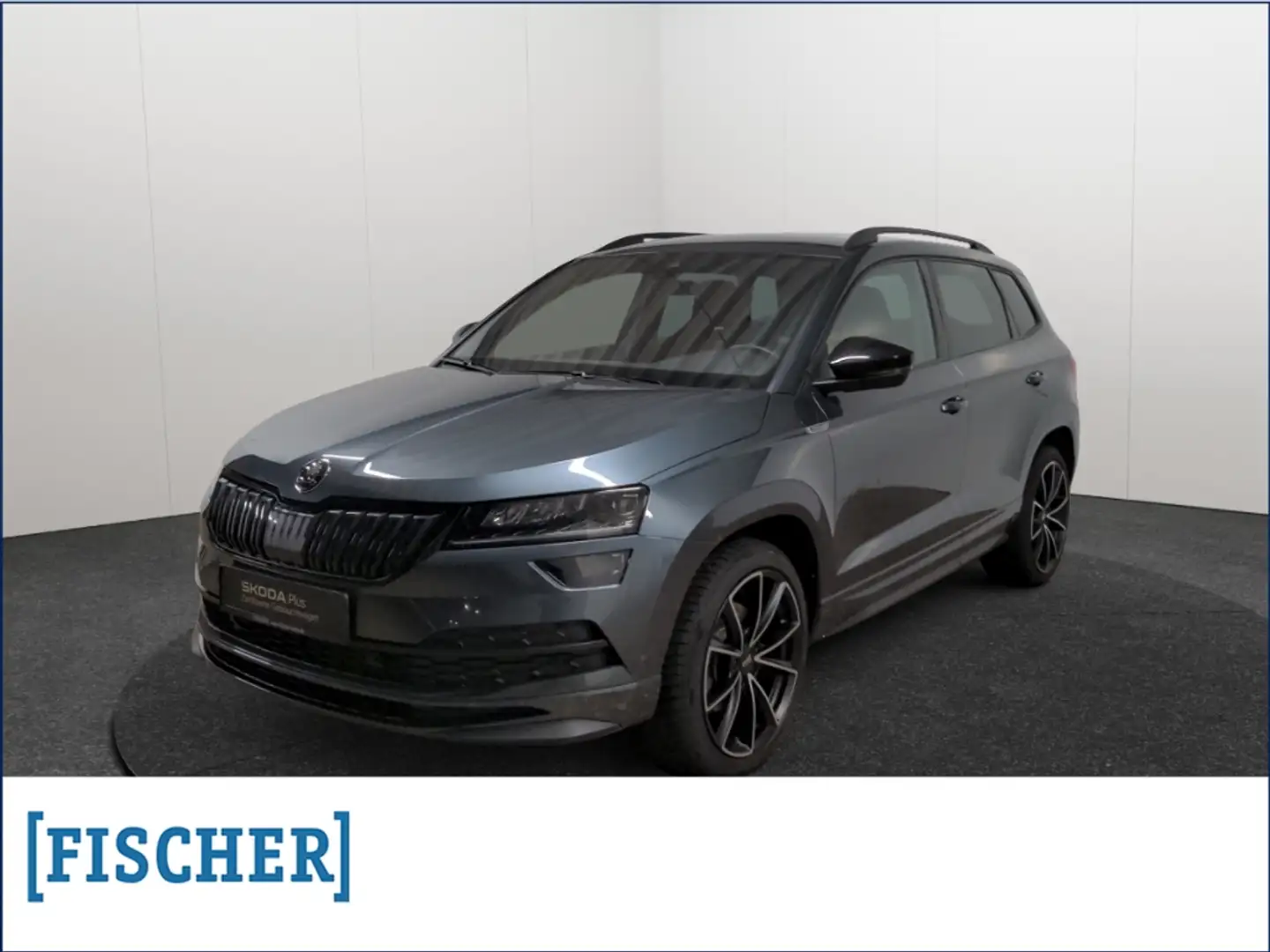 Skoda Karoq 2.0TSI 4x4 DSG Sportline LED Navi Rear View ACC PD Grau - 1