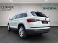 Skoda Kodiaq 4x4 Style TDI SCR DSG Weiß - thumbnail 3
