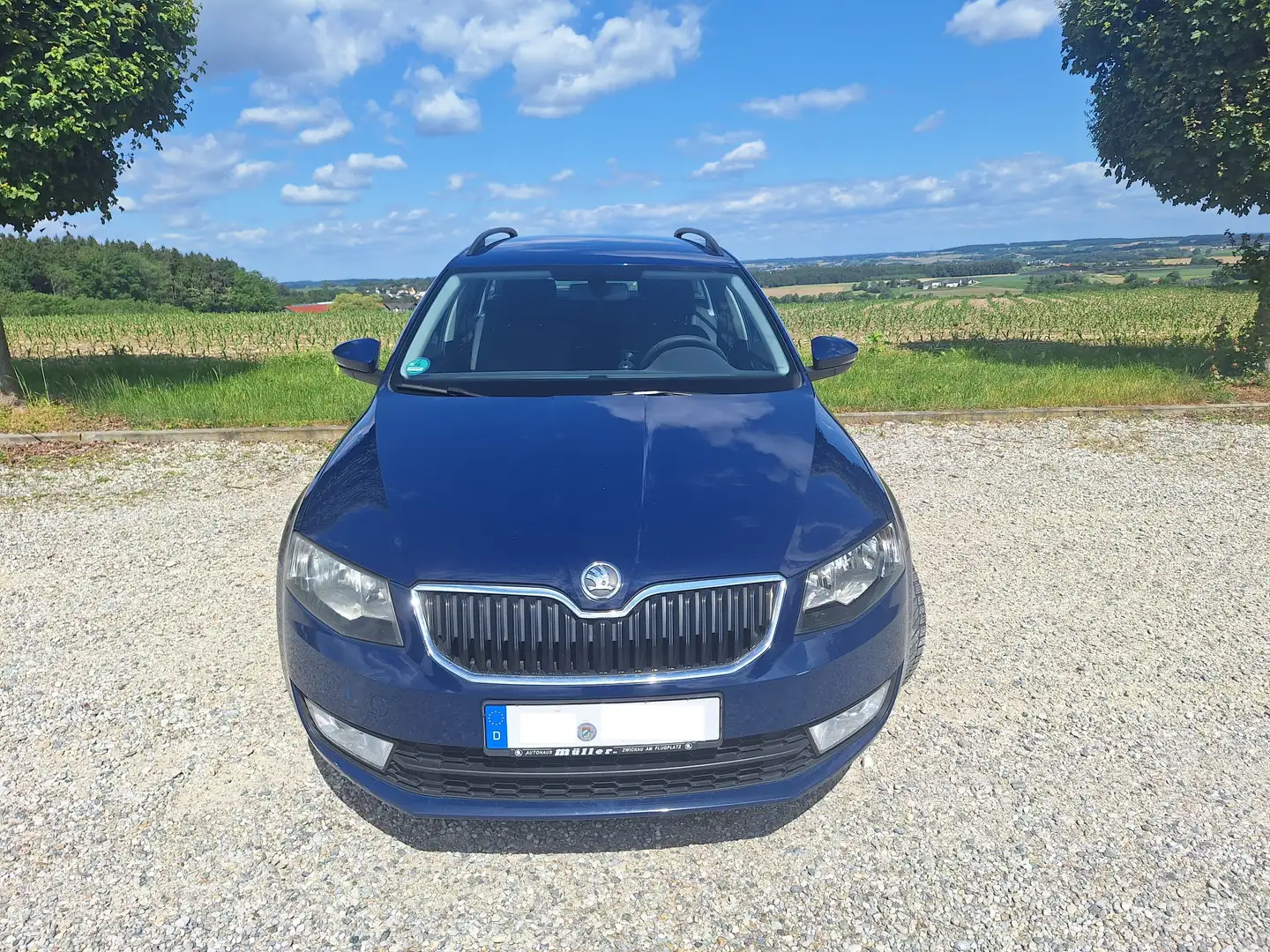 Skoda Octavia Octavia Combi 1.6 TDI DPF Ambition Blau - 2