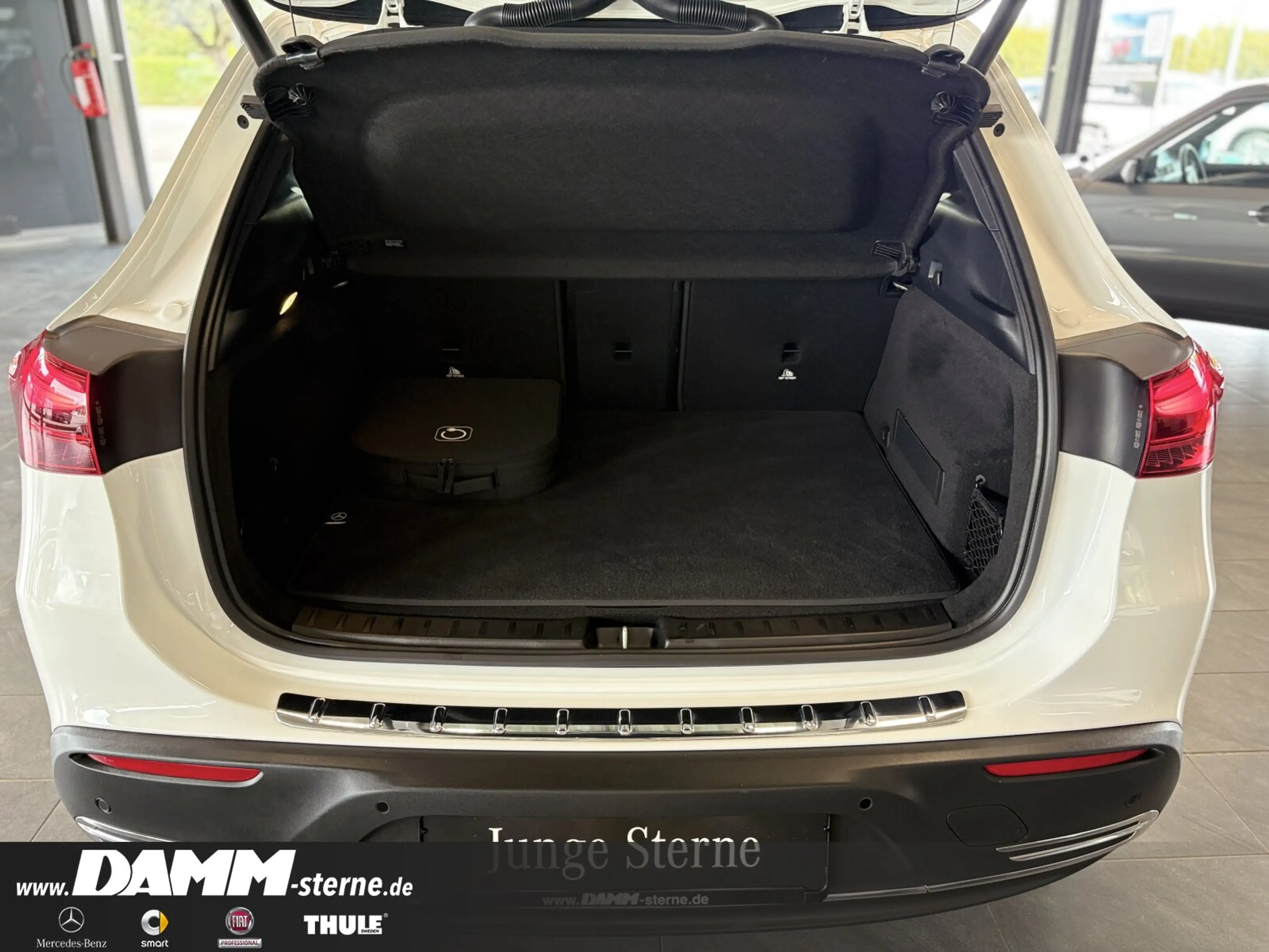 Mercedes-Benz EQA 250 EQA 250+ Progressive/Memory/RFK/SH/60M GA + Flex — photo 8