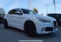 Alfa Romeo Stelvio “BIANCO TROFEO” V6 2.9 Bi-Turbo Quadrifoglio Weiß - thumbnail 1