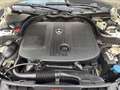 Mercedes-Benz C 250 T CDI Avantgarde BlueEfficiency 4MATIC  Aut*EXPOR Weiß - thumbnail 28