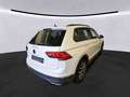 Volkswagen Tiguan Life 2,0 TDI DSG LED NAVI AHK PDC SHZ Weiß - thumbnail 2