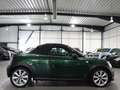MINI Cooper Roadster CHILI CARBON / GREEN & BROWN / Verde - thumbnail 16