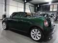 MINI Cooper Roadster CHILI CARBON / GREEN & BROWN / Verde - thumbnail 6