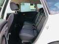 SEAT Altea XL Chili-Copa 1,6 CR TDi Alb - thumbnail 8