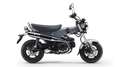 Honda DAX ST 125 Aktionspreis ! nur in grau Gris - thumbnail 1