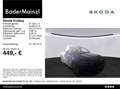 Skoda Kodiaq RS 2.0 TSi 4x4 DSG AHK Pano Matrix Stdhz Blau - thumbnail 1