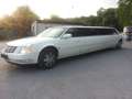 Cadillac DTS Limousine 130-inch Stretch by Tiffany Weiß - thumbnail 5