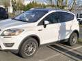 Ford Kuga Kuga 2.0 TDCi 163 DPF 4x4 Titanium Powershift A Blanc - thumbnail 5