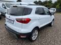 Ford EcoSport 1.0 EcoBoost TITANIUM Білий - thumbnail 5