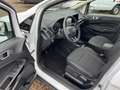 Ford EcoSport 1.0 EcoBoost TITANIUM Fehér - thumbnail 8